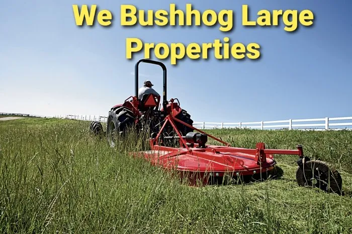 Reliable outdoor landscaping for year-round maintenance across Seaford, DE - Morgan's Lawn & Landscape