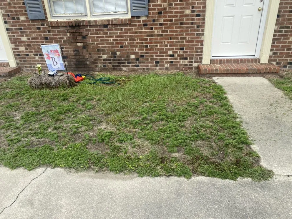 Trusted lawn care service experts serving La Grange, NC - Morgan's Lawn Care