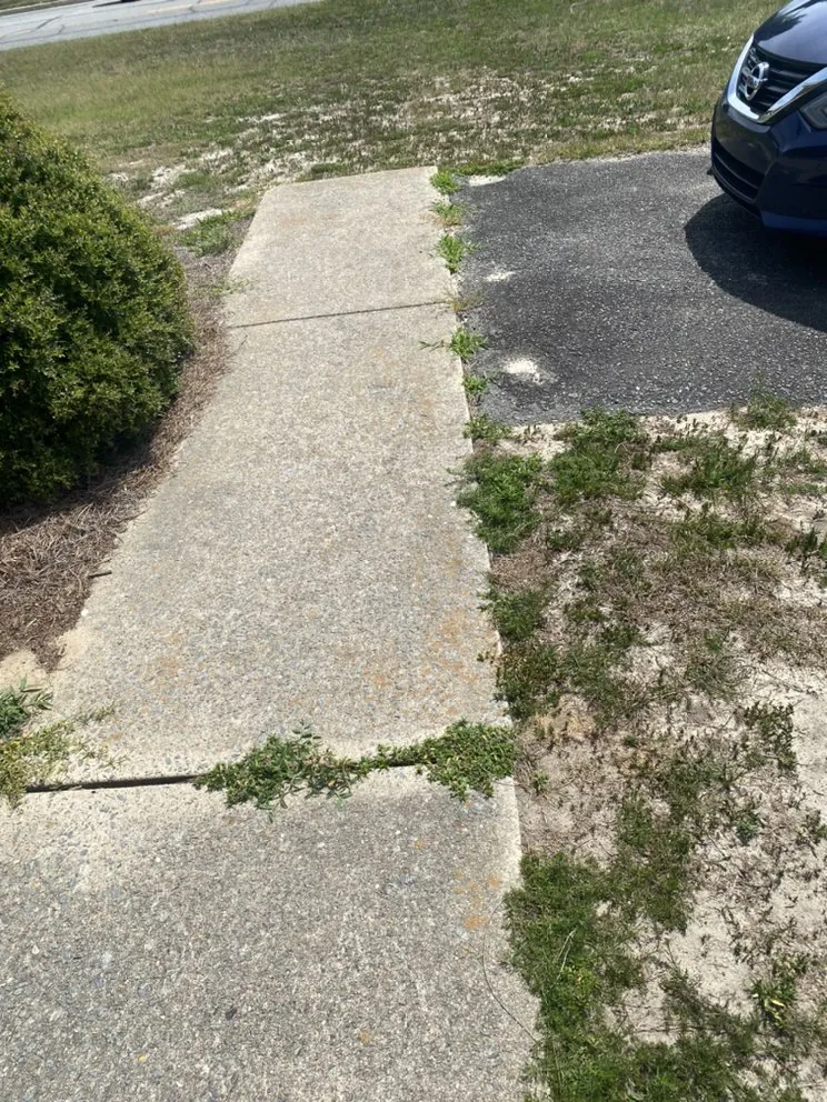 Reliable lawn care service in La Grange, NC - Morgan's Lawn Care