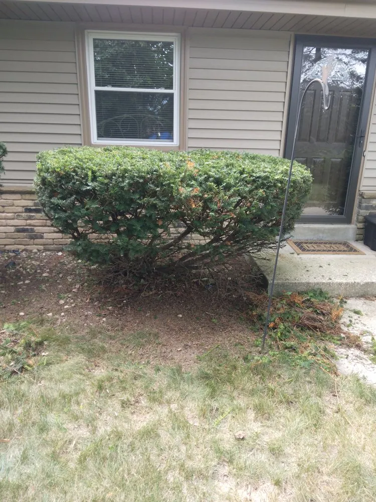 Custom residential landscaping in Milwaukee, WI by Morgan's Lawn Mowing Service