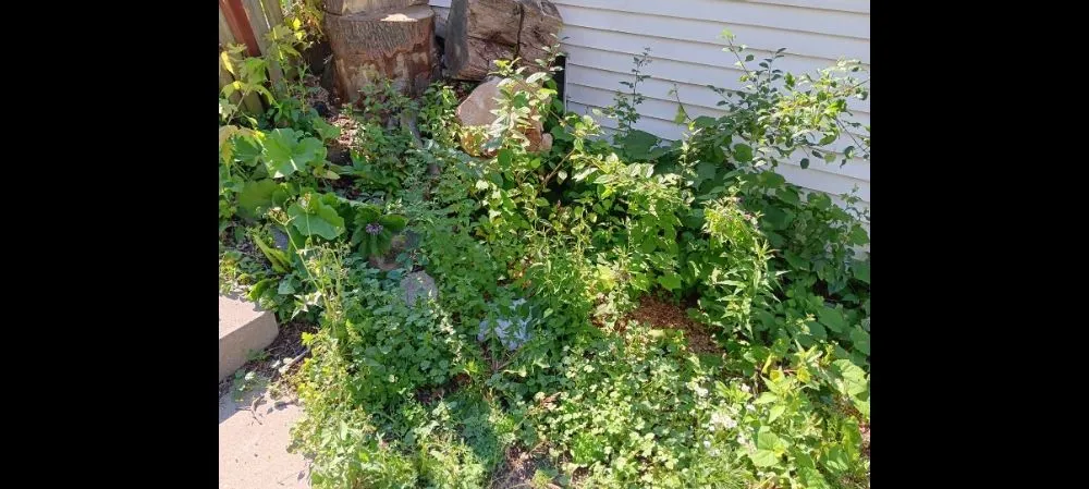 Custom outdoor landscaping in Milwaukee, WI - Morgan's Lawn Mowing Service