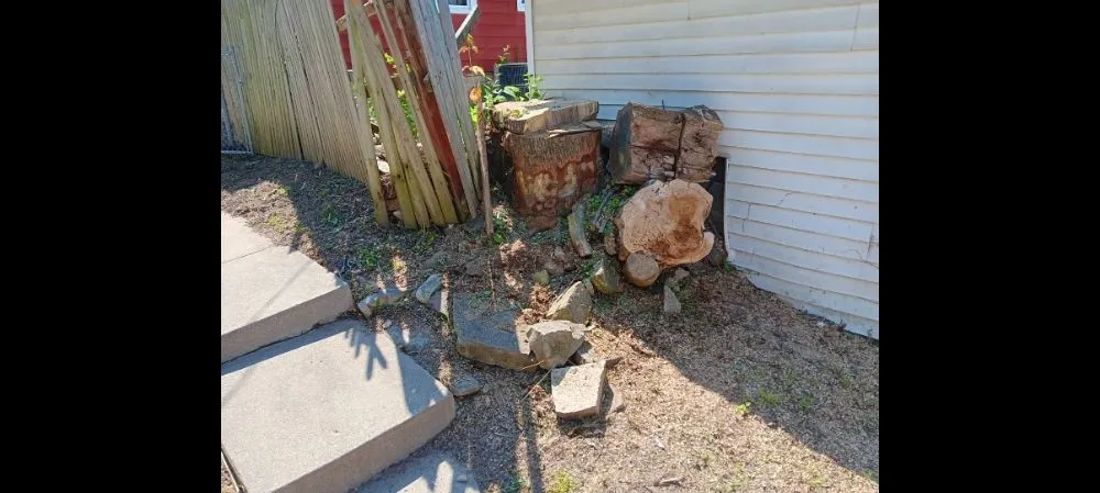 Affordable lawn mowing service in Milwaukee, WI - Morgan's Lawn Mowing Service