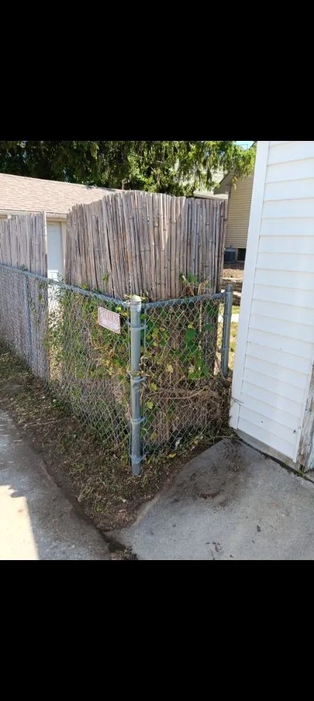 Professional yard cleanup service in Milwaukee, WI - Morgan's Lawn Mowing Service