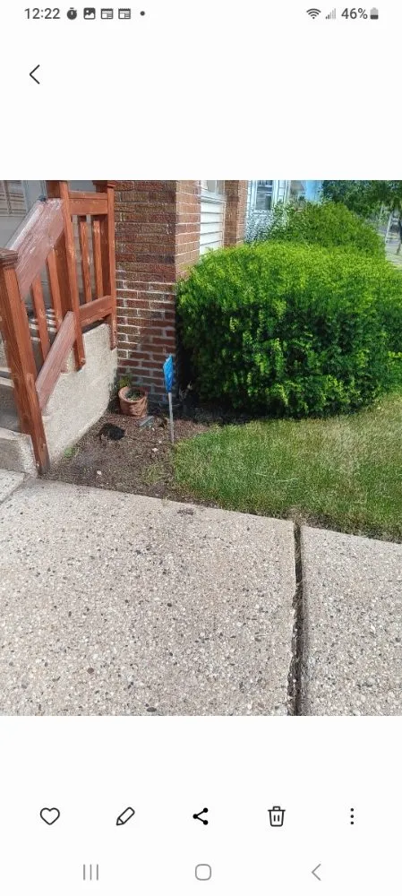 Affordable lawn mowing service near you in Milwaukee, WI by Morgan's Lawn Mowing Service