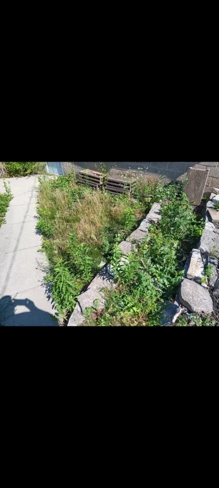 Custom yard maintenance for outdoor upgrades across Milwaukee, WI - Morgan's Lawn Mowing Service