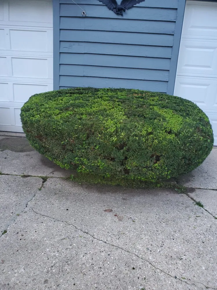 Top-rated lawn mowing service with custom design across Milwaukee, WI - Morgan's Lawn Mowing Service