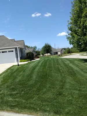 Morgan's Lawn Mowing Service Logo