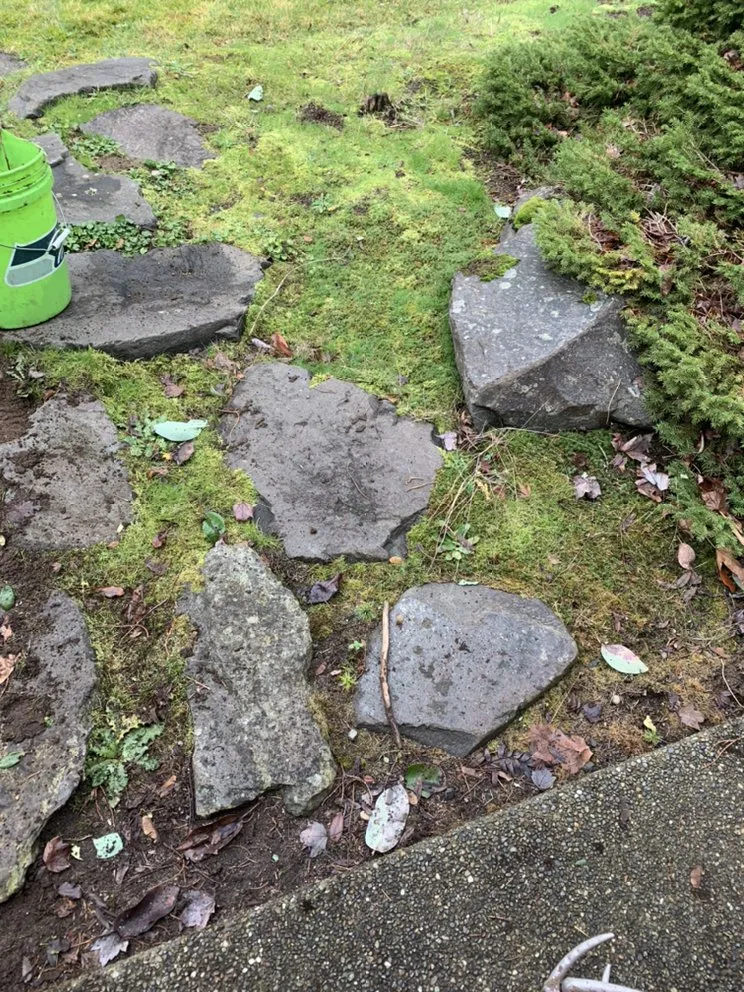 Top-rated yard maintenance for year-round maintenance across Tumwater, WA - Morgan's Lawn Service