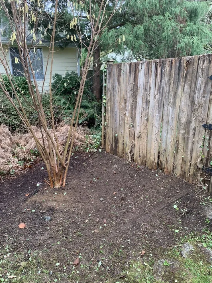 Local lawn mowing service for residential properties across Tumwater, WA - Morgan's Lawn Service