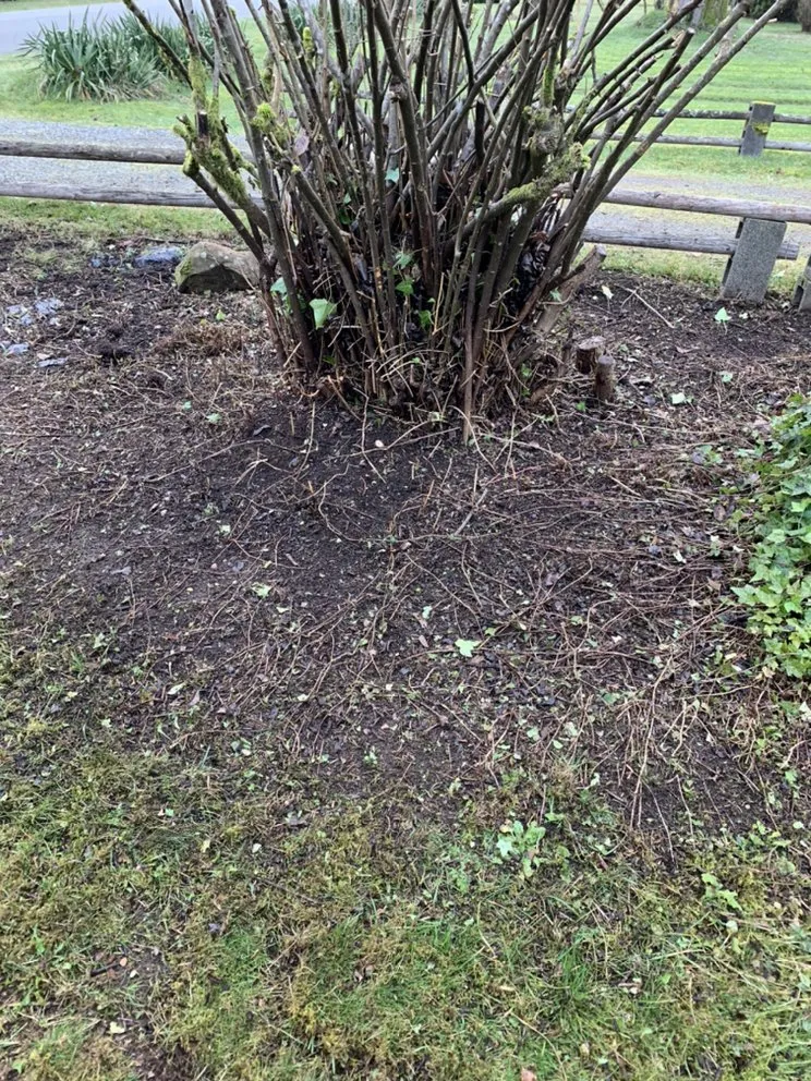 Top-rated residential landscaping for residential properties across Tumwater, WA - Morgan's Lawn Service