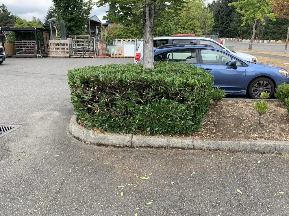 Top-rated garden landscaping in Tumwater, WA by Morgan's Lawn Service