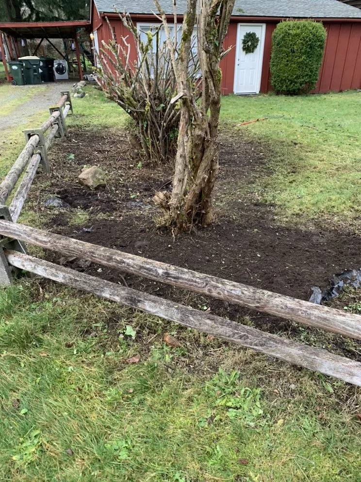 Expert landscape installation for year-round maintenance across Tumwater, WA - Morgan's Lawn Service