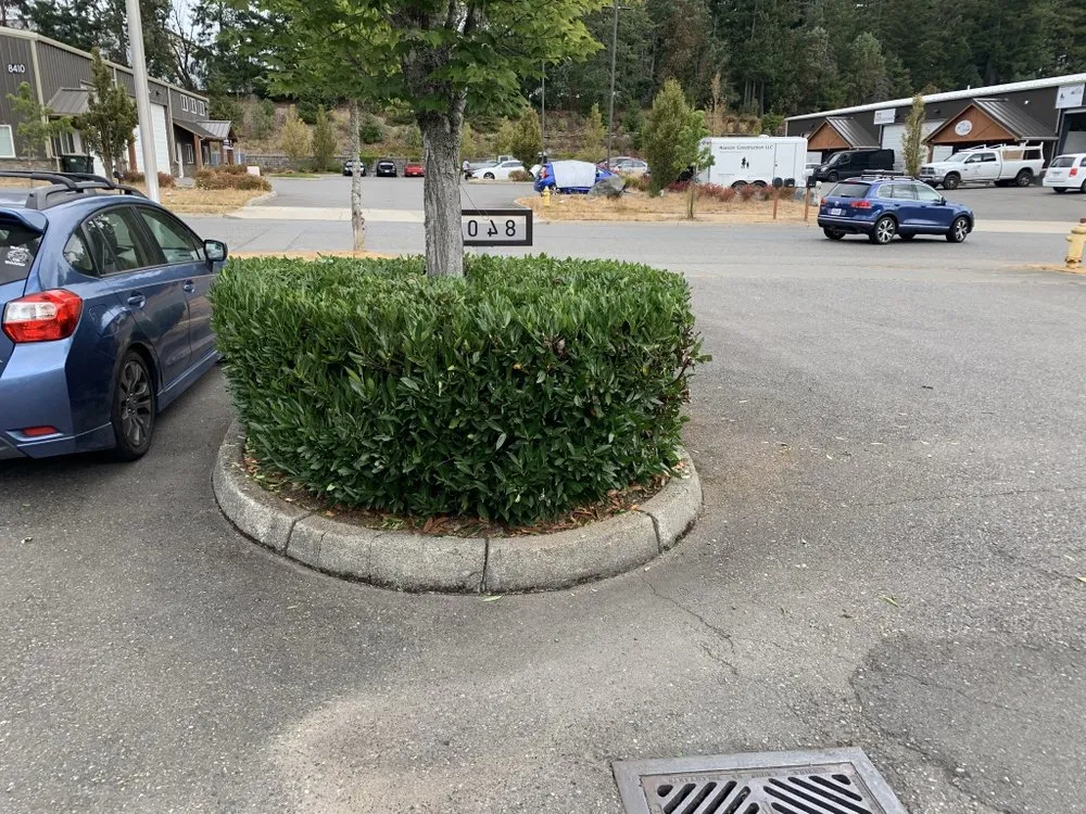 Custom yard maintenance in Tumwater, WA by Morgan's Lawn Service