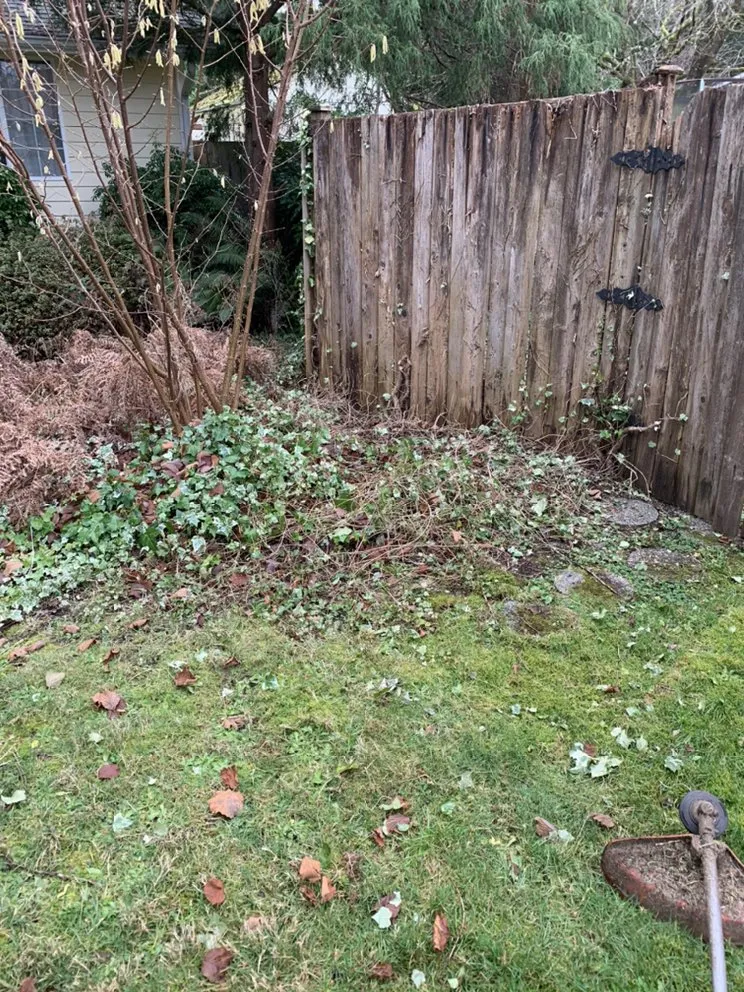 Local residential landscaping near you across Tumwater, WA - Morgan's Lawn Service