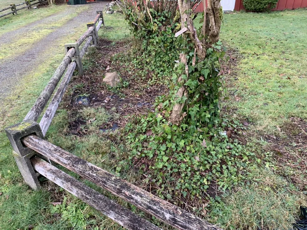 Professional outdoor landscaping experts serving Tumwater, WA - Morgan's Lawn Service