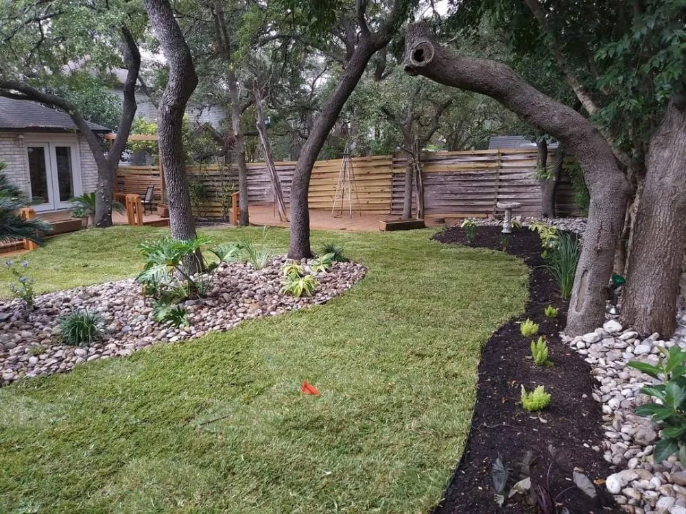 Top-rated yard maintenance for beautiful yards across Selma, TX - Morgans Lawncare & More