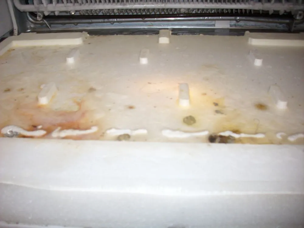 Reliable residential landscaping in Tallahassee, FL - Morgan's Professional Cleaning and Lawn Service