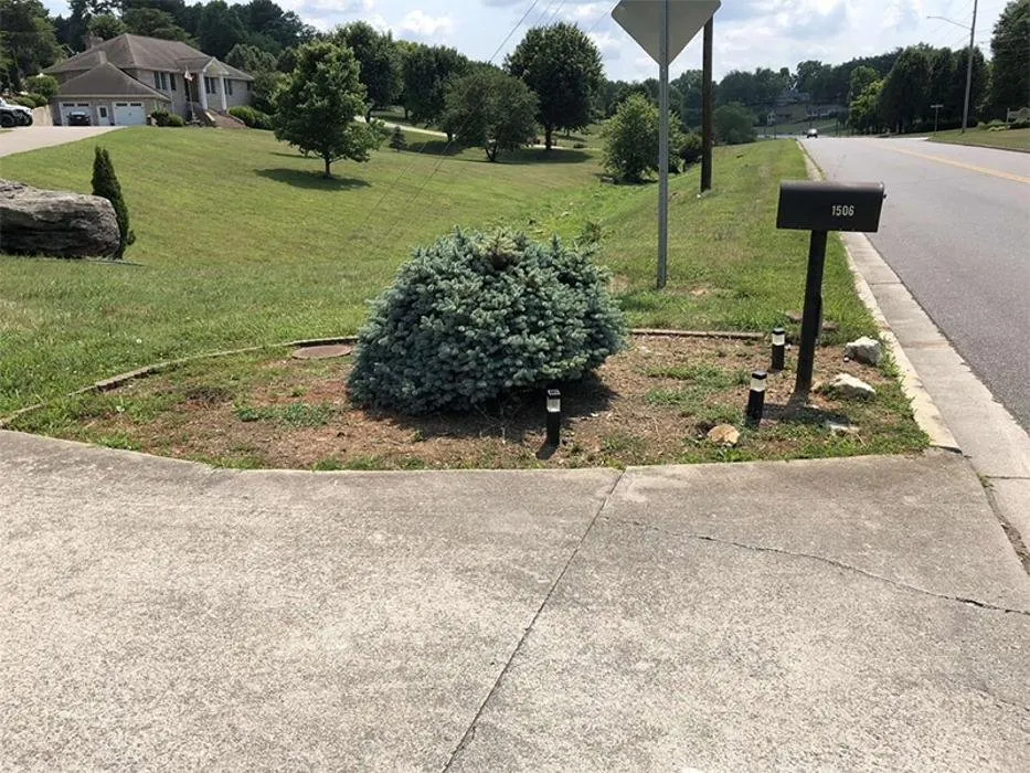 Custom residential landscaping experts serving Rutledge, TN - Morgan’s Property Maintenance