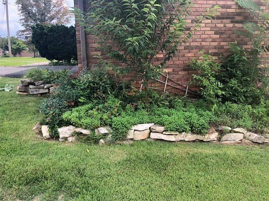 Professional landscape installation in Rutledge, TN - Morgan’s Property Maintenance