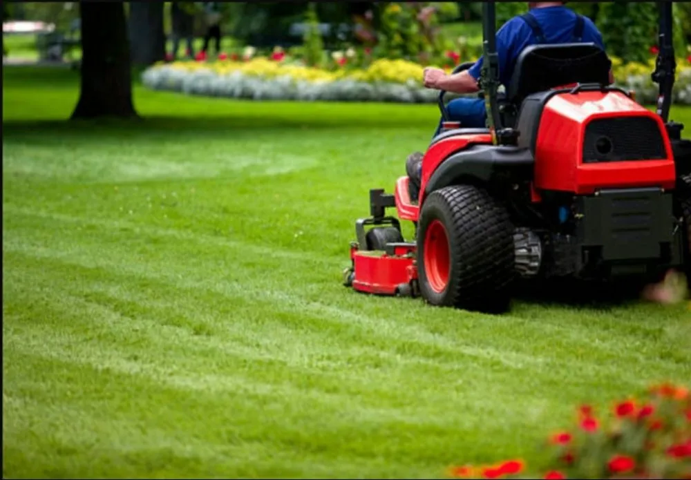 Trusted yard cleanup service with custom design across Richfield, MN - Morgan's Snow and Lawn Care