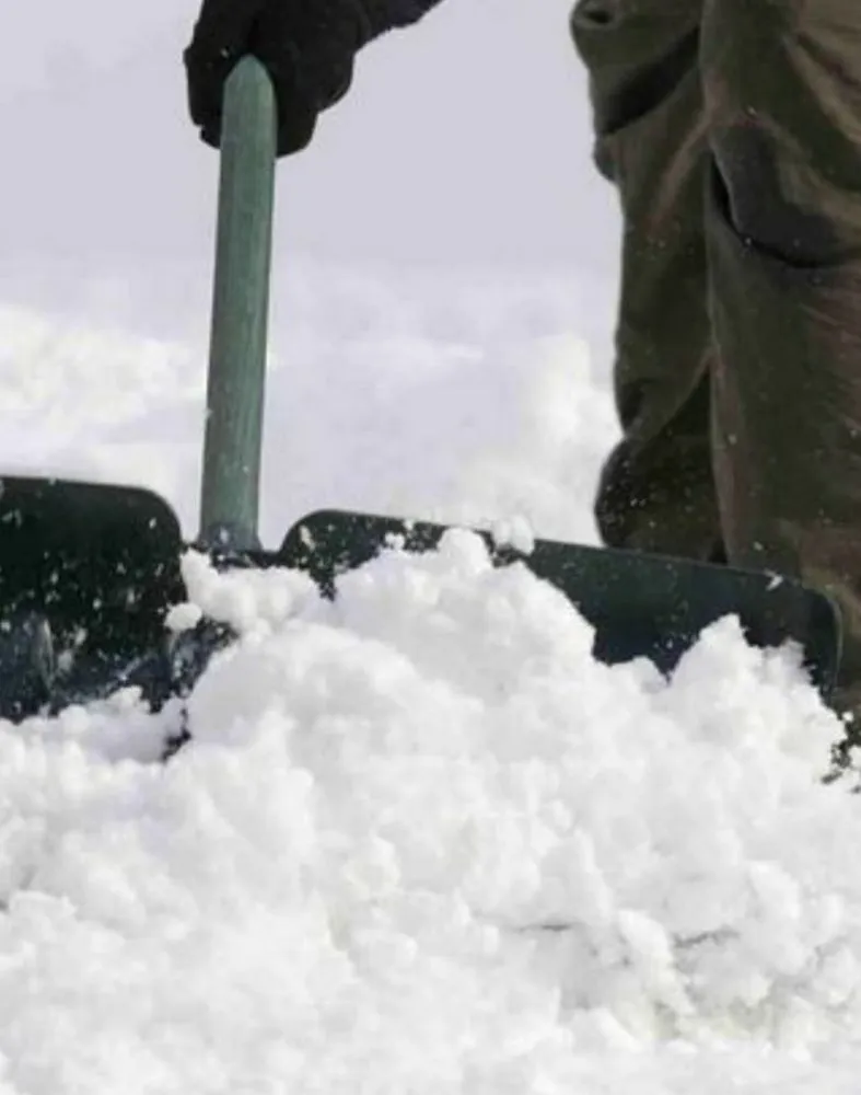 Professional yard maintenance in Richfield, MN by Morgan's Snow and Lawn Care