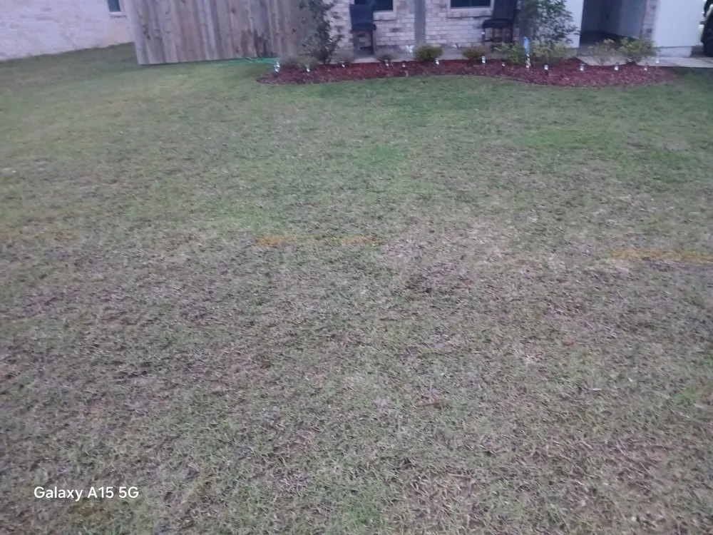 Expert landscape installation in Covington, LA - Morghen And Khalons Services