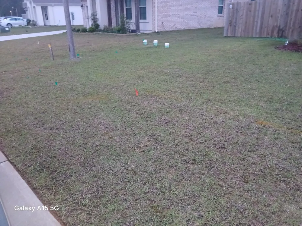 Top-rated landscape installation in Covington, LA - Morghen And Khalons Services