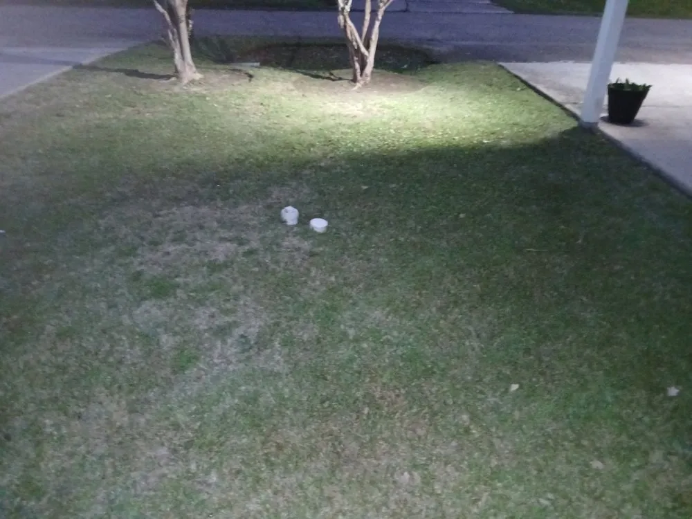 Local landscape design in Covington, LA by Morghen And Khalons Services