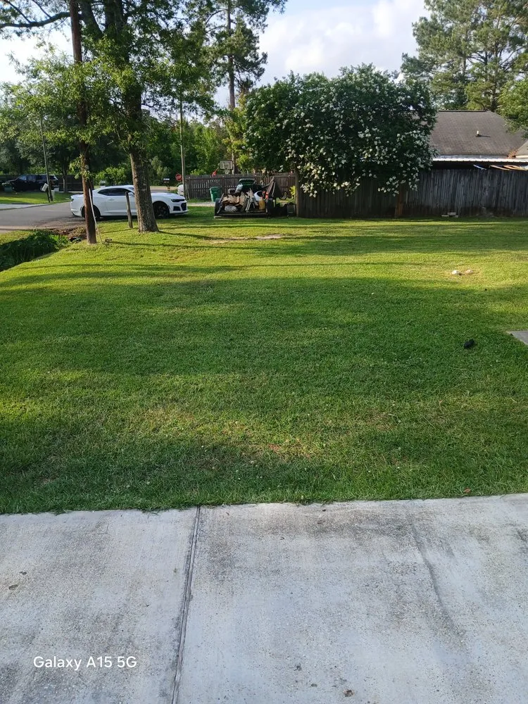 Reliable yard cleanup service for residential properties in Covington, LA by Morghen And Khalons Services