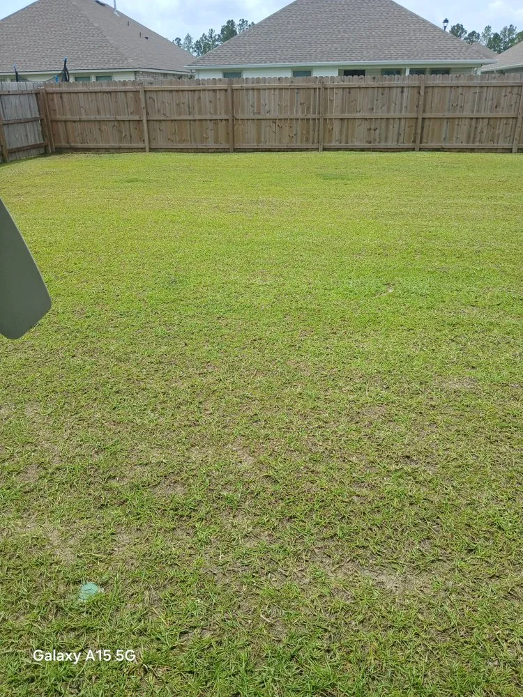 Reliable lawn care service in Covington, LA by Morghen And Khalons Services