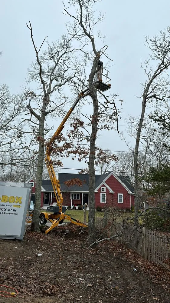 Professional lawn care service for year-round maintenance across Hyannis, MA - Moriah Landscaping & Contruction