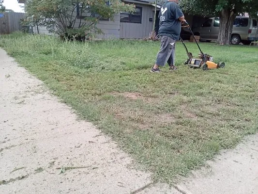 Morins Landscaping and Lawn Logo