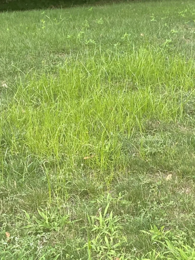 Reliable yard maintenance experts serving Hollis, NH - Morin's Landscaping