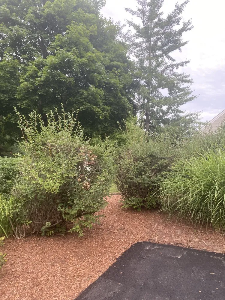 Top-rated landscape design experts serving Hollis, NH - Morin's Landscaping