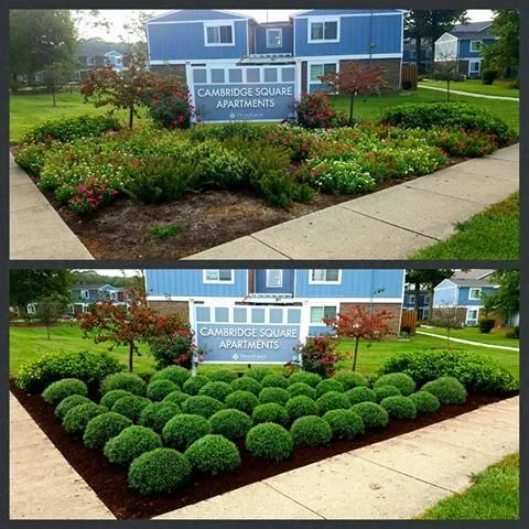 Affordable landscape design near you in North Vernon, IN by Morin's Landscaping