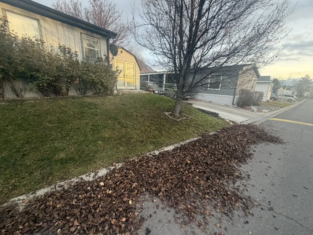 Expert landscape installation for year-round maintenance across Sandy, UT - Moritz Enterprise