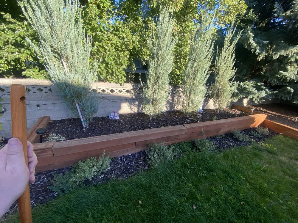 Trusted lawn care service experts serving Sandy, UT - Moritz Enterprise