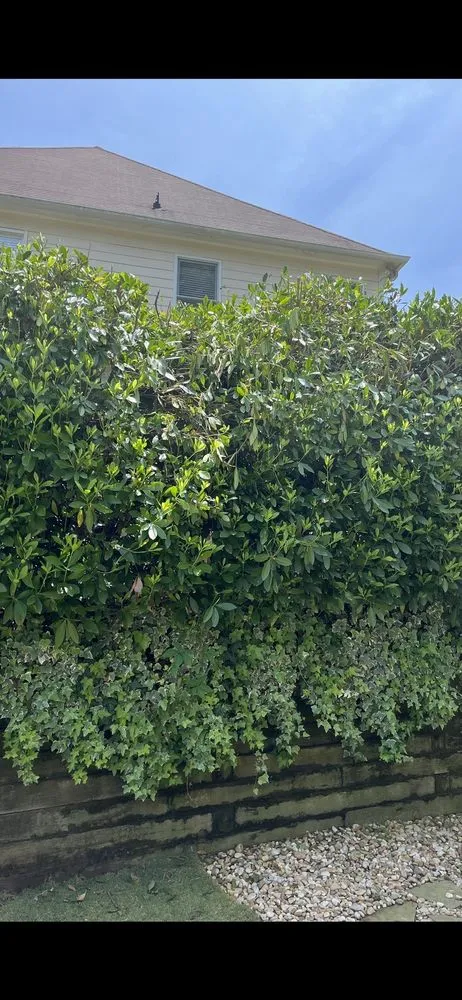 Professional garden landscaping in Marietta, GA - Morning Dew Landscapes