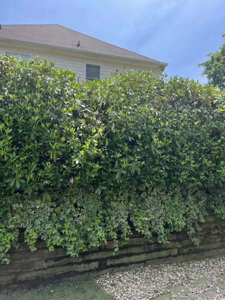 Trusted yard maintenance with custom design in Marietta, GA by Morning Dew Landscapes