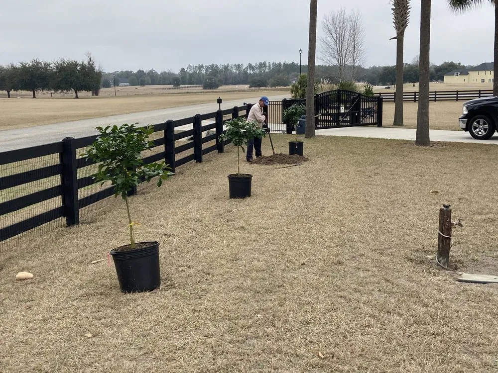 Reliable outdoor landscaping experts serving Marietta, GA - Morning Dew Landscapes