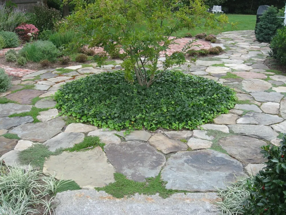 Affordable residential landscaping experts serving Richmond, VT - Morning Dew Landscaping & Stonework