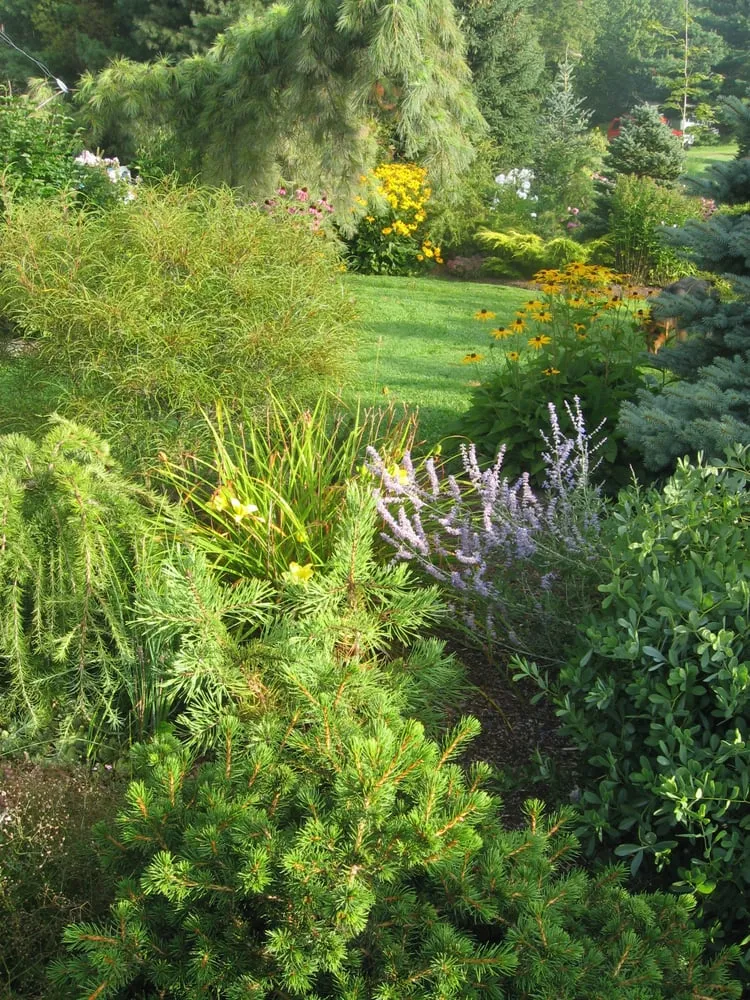 Local residential landscaping near you across Richmond, VT - Morning Dew Landscaping & Stonework