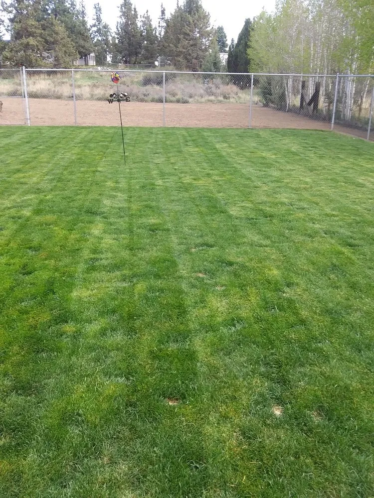 Reliable yard maintenance with custom design across Glenns Ferry, ID - Morning Dew Landscaping