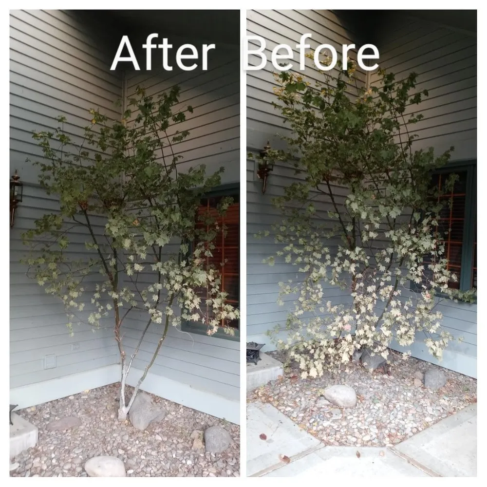 Reliable landscape installation near you in Glenns Ferry, ID by Morning Dew Landscaping