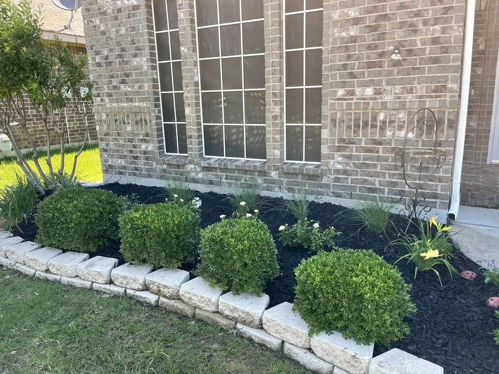 Local yard cleanup service in Joshua, TX - Morning Dew Landscaping