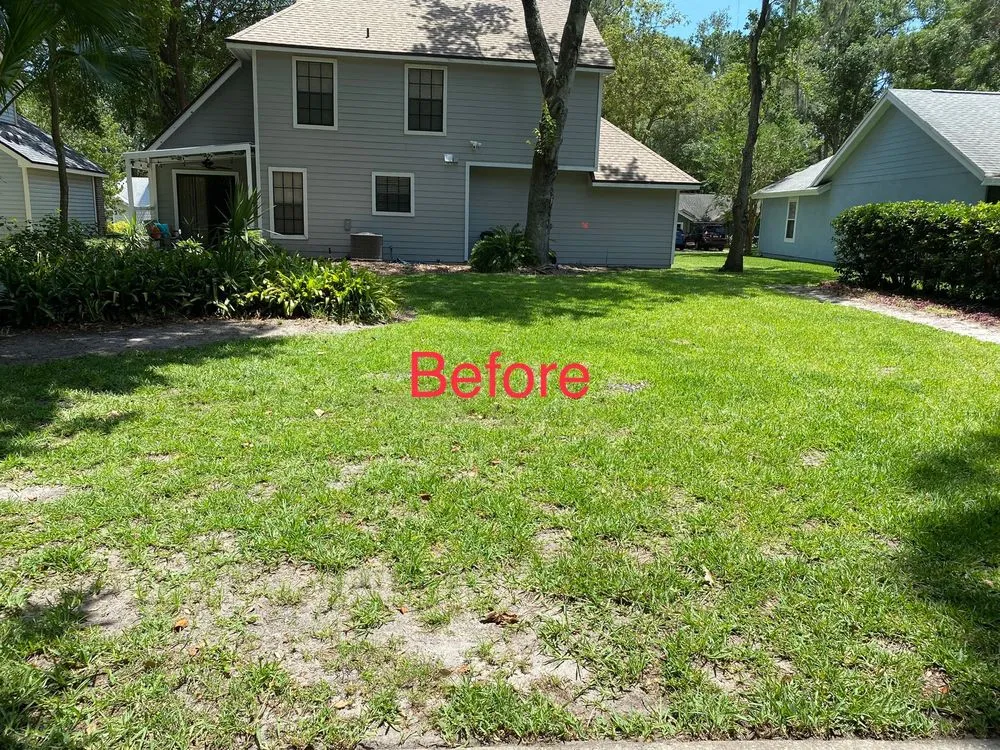 Affordable yard maintenance in Altamonte Springs, FL - Morning Dew Lawnscape