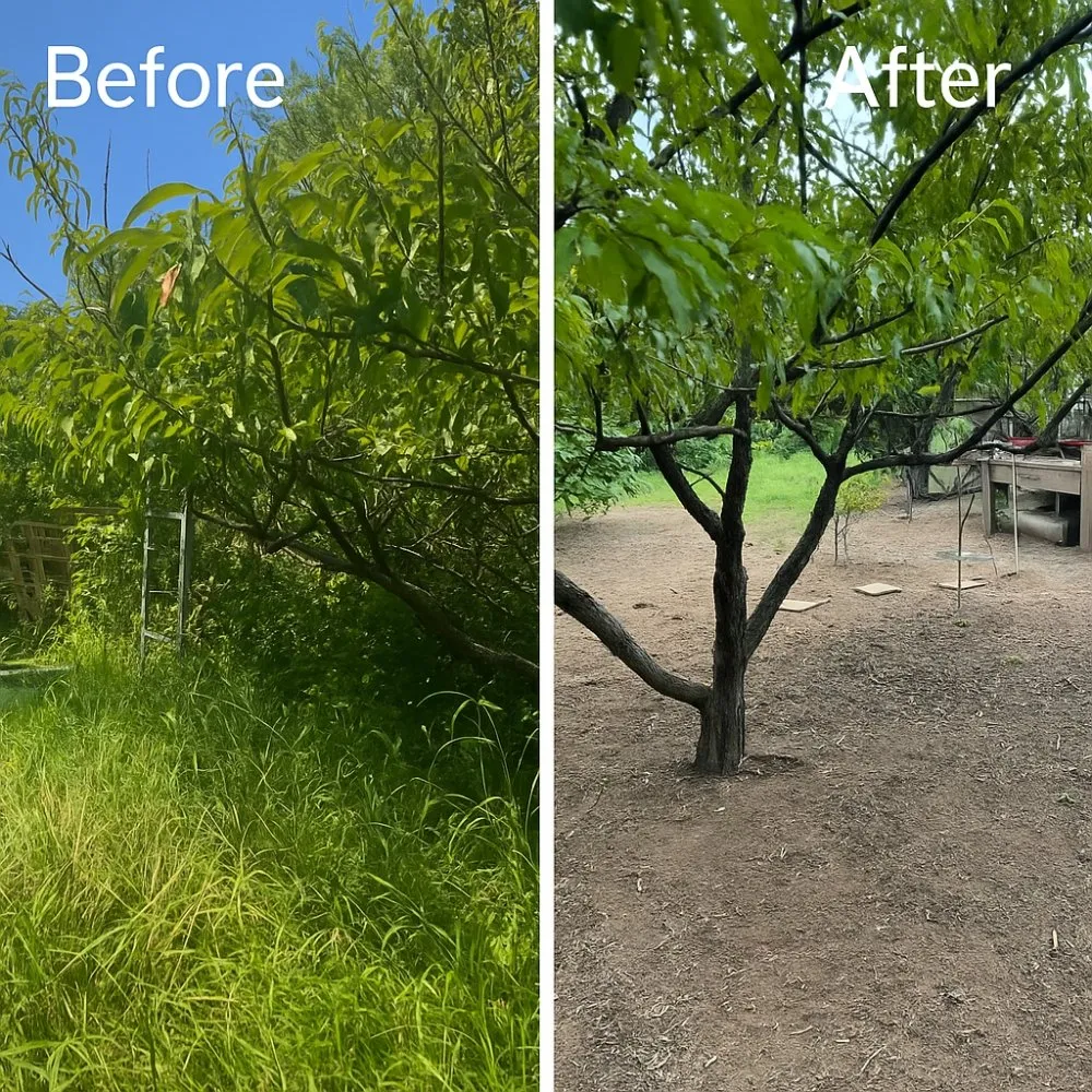 Expert yard maintenance in Culpeper, VA - Morning Glory Girls