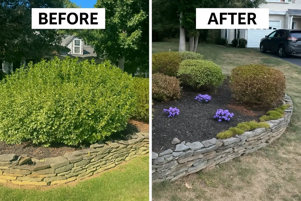 Custom garden landscaping experts serving Culpeper, VA - Morning Glory Girls