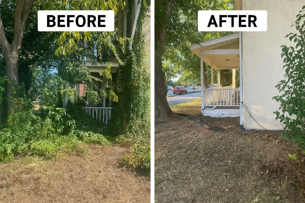 Local yard cleanup service for outdoor upgrades across Culpeper, VA - Morning Glory Girls