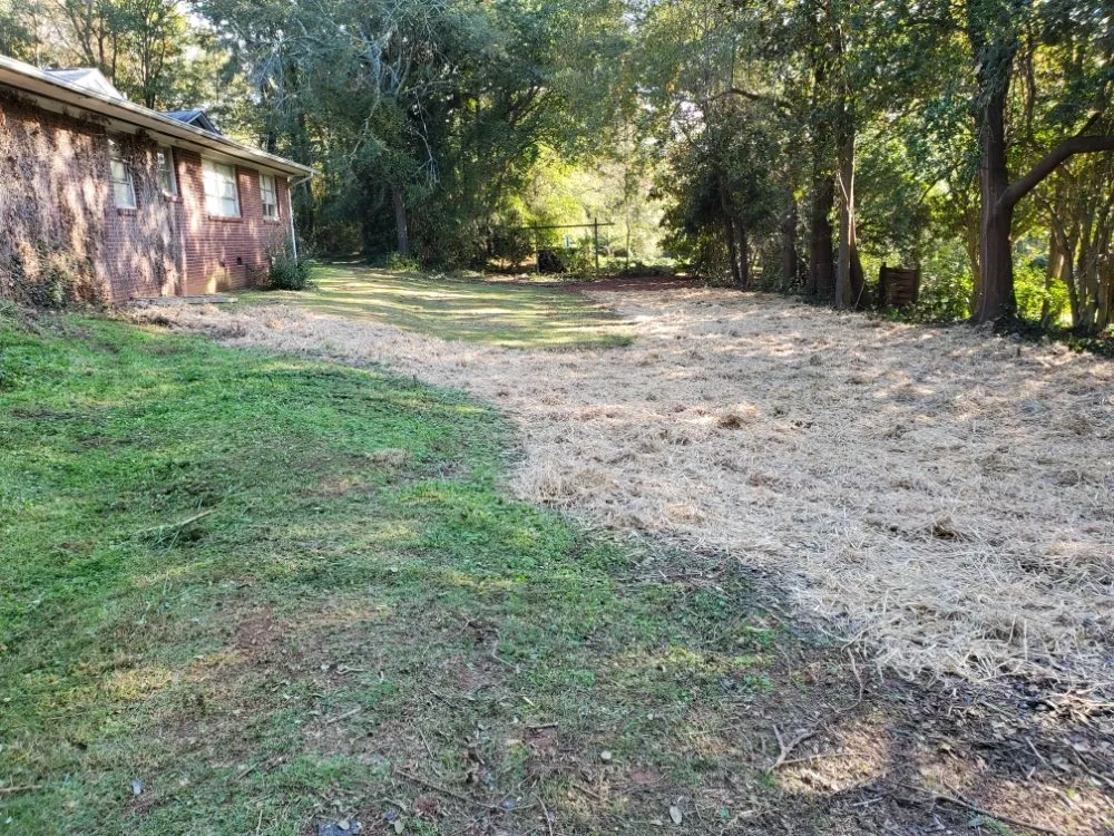 Trusted yard cleanup service in Seneca, SC - Morning Glory Lawn Care & Landscaping